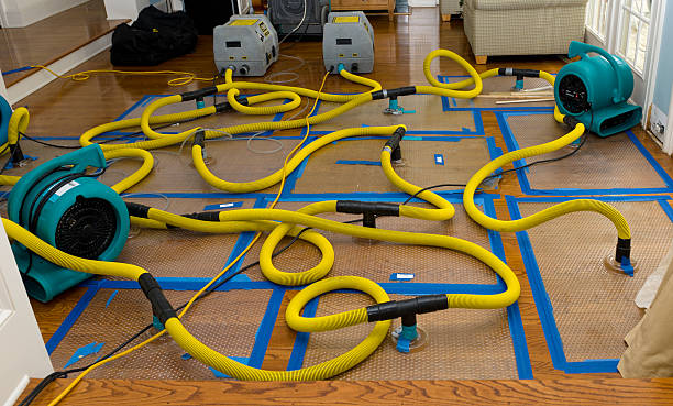 Professional Storm Water Damage Restoration technician working in Hingham, WI
